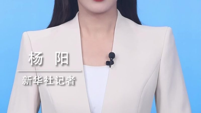 SaaS平台案例模板：构建企业数字化转型的基石